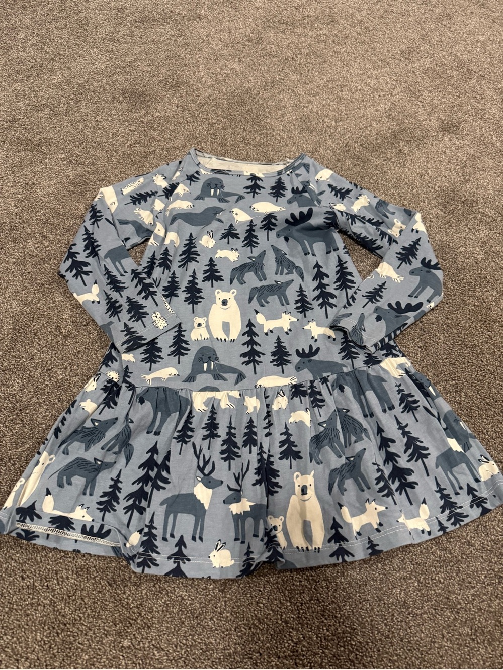 Winter Water Factory Blue Woodland Animal Long-Sleeve Dress Sz 6
